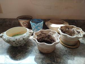 Collection of Planters