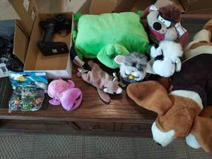Collection of Stuffed Animals and Remote Control Car