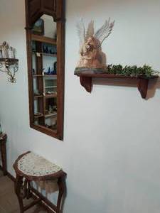 Collection of Home Dcor