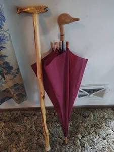 Umbrella and walking stick