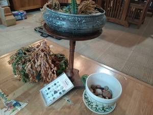 Collection of Planters, Plants, and Wood Plant Stand