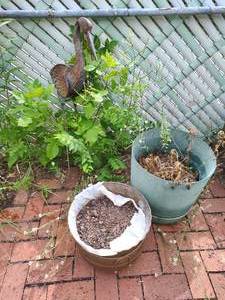 Planters And Bird Sculpture