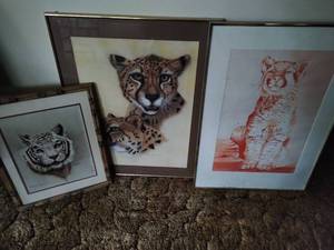 Framed Art