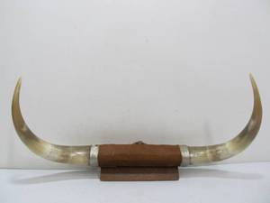 lot 231 image: Smaller Western Steer Horn Display