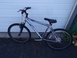 lot 20 image: Schwinn Bike