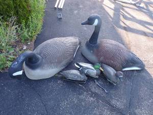 lot 59 image: Duck and Goose Decoys