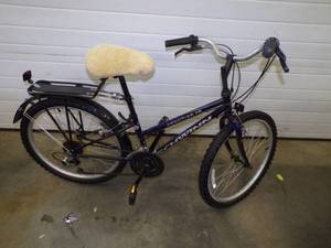 lot 98 image: Schwinn Frontier GS Bike