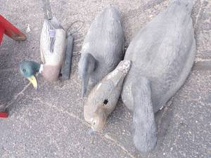 lot 103 image: Goose and Duck Decoys