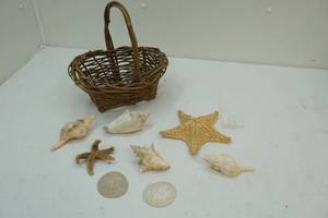 lot 210 image: Seashells