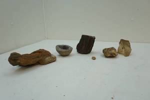 lot 224 image: Geodes and wood