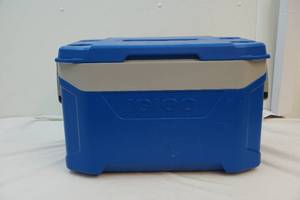 lot 358 image: Igloo Cooler