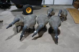 lot 414 image: decoys