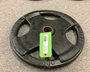 lot 51 image: 45LB Weight Plate