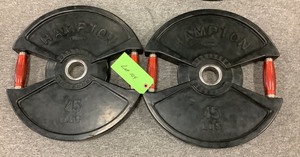 lot 104 image: 45LB Weight Plates