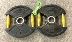 lot 80 image: 25Lb Weight Plates