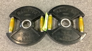 lot 79 image: 25Lb Weight Plates