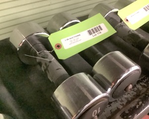 lot 119 image: 10 Lb Dumbbells, Qty 2