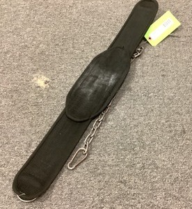 lot 200 image: Weightlifting Belt