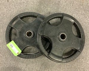 lot 54 image: 100LB Weight Plates