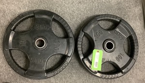 lot 55 image: 100 Lb Weight Plates