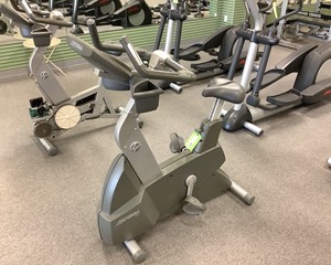 lot 13 image: Upright Bike