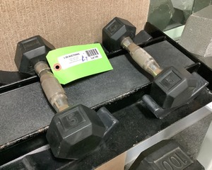 lot 140 image: 5 Lb Dumbbells, Qty 2
