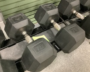 lot 154 image: 75 Lb Dumbbells, Qty 2