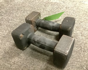 lot 163 image: 12 LB Barbell Pair
