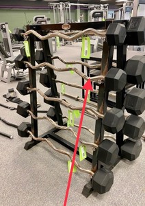 lot 167 image: 30 Lb Curl Bar