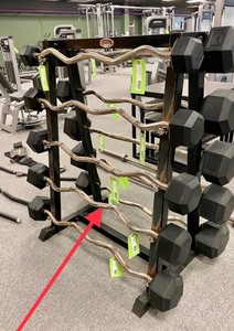 lot 169 image: 50 Lb Curl Bar