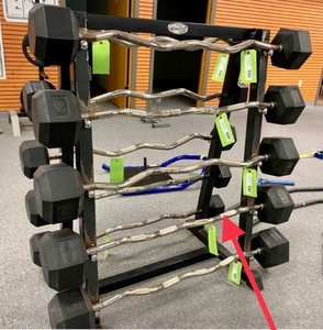 lot 174 image: 100 Lb Curl Bar