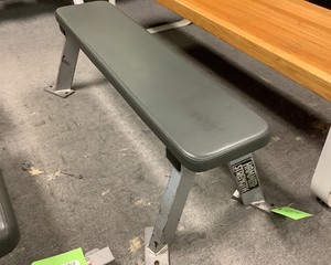 lot 45A image: Flat Utility Bench