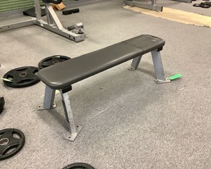 lot 45B image: Flat Utility Bench