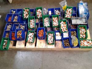 lot 4 image: MASSIVE lot of mostly Plumming Hard...