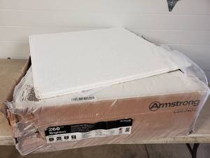 16 Pcs 2 x 2 ft Ceiling Tiles - Edge Damage
