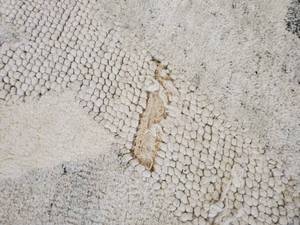 Allen  Roth Area Rug - Damaged