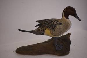 Pheasants Forever Duck