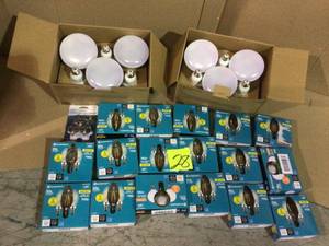 lot 28 image: 60-Watt Equivalent B11 Dimmable ENERGY STAR Clear Glass Filament Vintage Edison LED Light Bulb Bright White (3-Pack) by EcoSmart