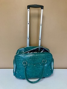 Womens Fashion Carry-On Luggage