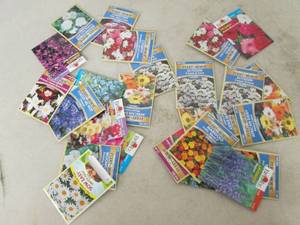 lot 202 image: lot of 25 flower seeds ...