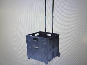 Universal Collapsible Mobile Storag...