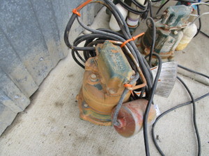 lot 20 image: (5) Sump Pumps