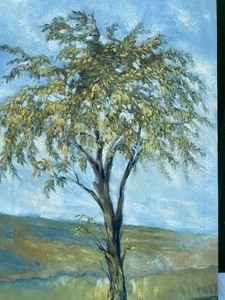 lot 61 image: Unframed Oil on Canvas Painting of a Tree