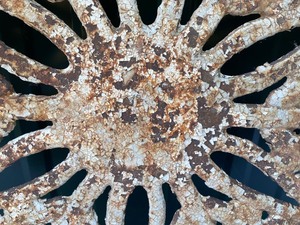 lot 161 image: Cast Iron Decorative Floral Design Piece