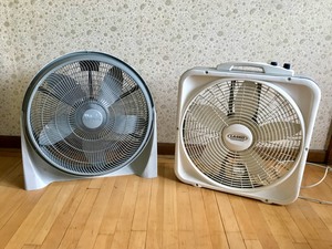 Pair of Fans