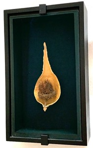 lot 35 image: 3 Extremely Detailed Nature Shadowboxes by Jim Proctor