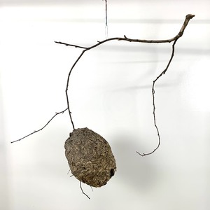 lot 63 image: Vintage Wasp Nest On A Branch