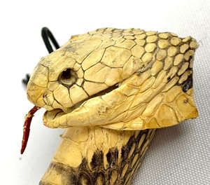 lot 64 image: Incredible Vintage Broom w Taxidermy Full Snake as the Handle - 53.5Long