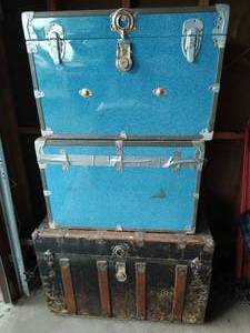lot 109 image: 3 trunks
