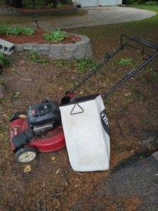 lot 191 image: Lawn mower